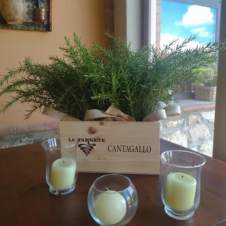 Tenuta Cantagallo Çiftlik konaklama Montelupo Fiorentino
