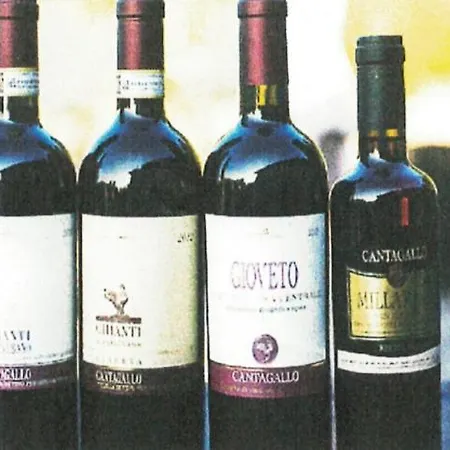 Tenuta Cantagallo Montelupo Fiorentino